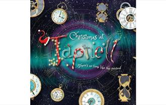 Christmas at Tapnell Farm Park, What's On