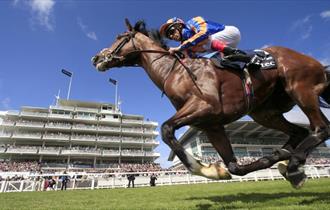 Epsom Downs Racecourse