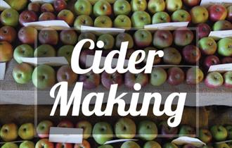 Cider Making