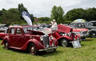 lined up red vintage cars