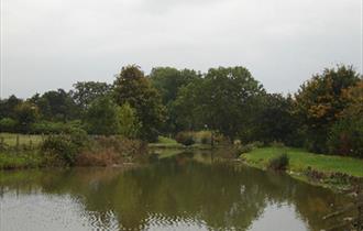 College Farm Fishing