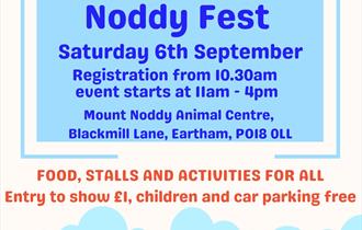 Noddy fest flyer