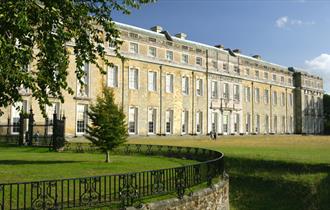 Petworth House & Park