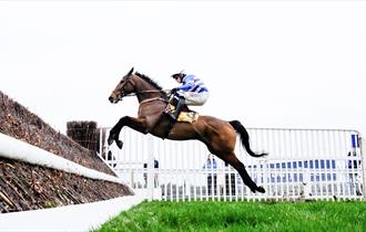 Jumps racing at Ascot Racecourse