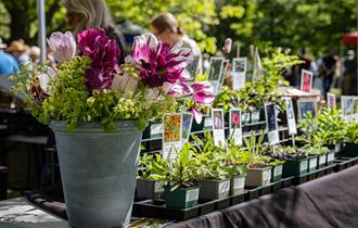Plant Fair at Borde Hill