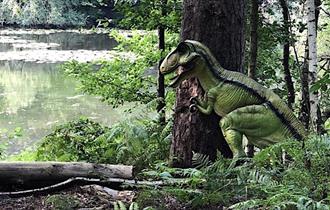 Dinosaur hiding in the woods