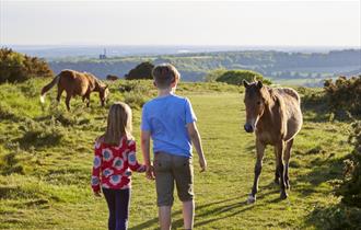 Time For Worthing  Cissbury Ring ponies kids