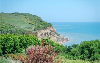 Hastings Country Park Nature Reserve