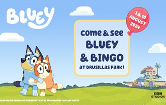 bluey and bingo at drusillas park