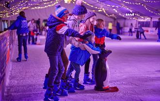 Family Ice Skating in Worthing