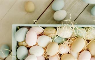 Isle of Wight, Things to Do, Easter Fun, Mottistone gardens, National trust, Family Fun