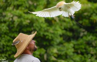 Man with an owl, for the Easter Fun event at Fort Nelson. Image copyright Lighten Photography UK