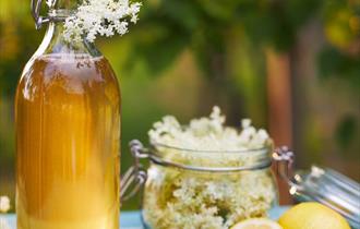 Photo of homemade elderflower cordial