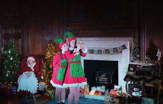 Two people dressed as Christmas Elves stand in front of a decorated fireplace. They are wearing green and red outfits with striped stockings and point