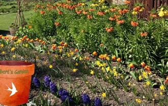 Gilbert's Garden: Blub Planting Day