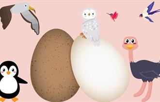 Easter Egg Hunt at Gilbert White's!