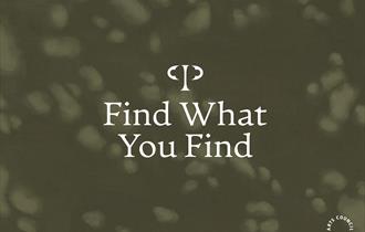 Find what you Find banner