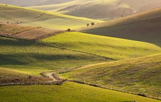 Sussex Downs