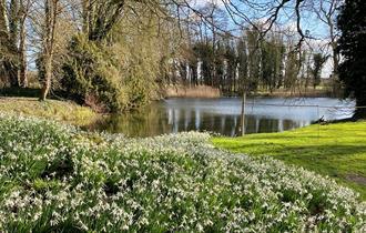 wadderson gardens