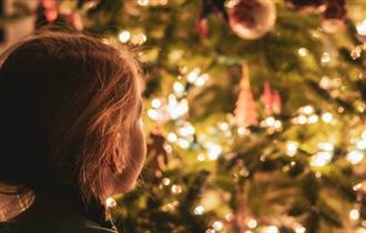 Young child looking at large indoor Christmas tree