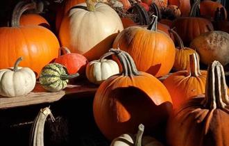 Pumpkins
