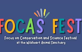 FOCAS FEST 2024