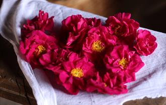 Flower Power at Weald & Downland Living Museum