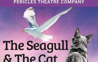 Cat looking at a seagull, with show title