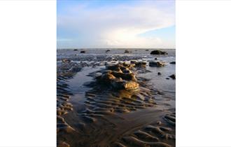 Fossil hunting at Bognor Regis Beach