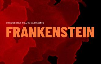 Frankenstein DNT Co. Header