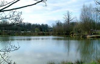 Frant Lakes Fishery