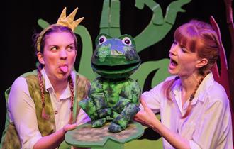The Frog and The Princess