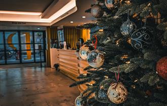 Christmas Tree in Pallant House Gallery