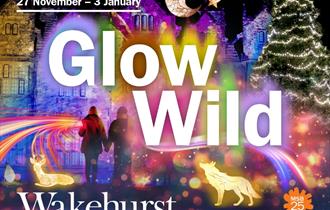 Glow Wild, the magical winter lantern trail