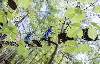 Spring into adventure at Go Ape Crawley
