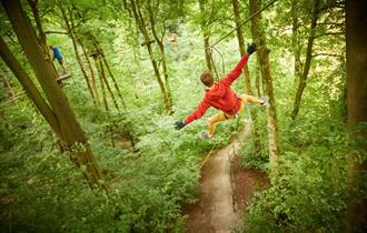 Zipline at Go Ape Bracknell