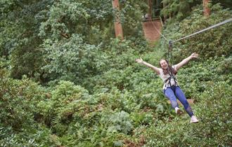 Go Ape Treetop Challenge
