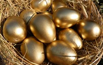 Golden Eggs
