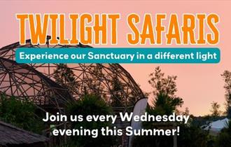 Twilight Safaris