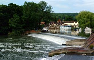 Goring