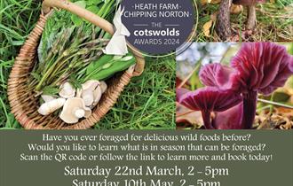 Foraging at Heath Farm