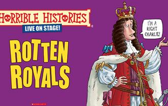 Graphic depicting Horrible Histories illustration.