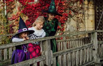 Halloween Half Term at Hever Castle