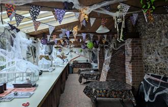A garden classroom depicting Halloween activities