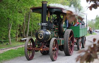 Halloween and Autumn Steam up