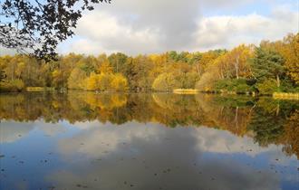 Hammond Pond at Lightwater Country Park