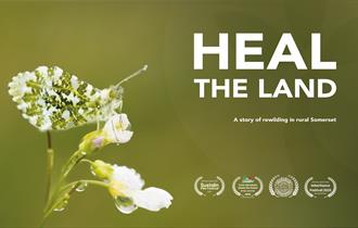 Heal the Land (U)