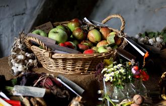 Hedgerows & Harvest at Weald & Downland Living Museum