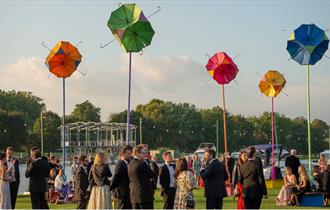 Henley Festival visitors