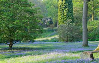 High Beeches Woodland and Water Garden